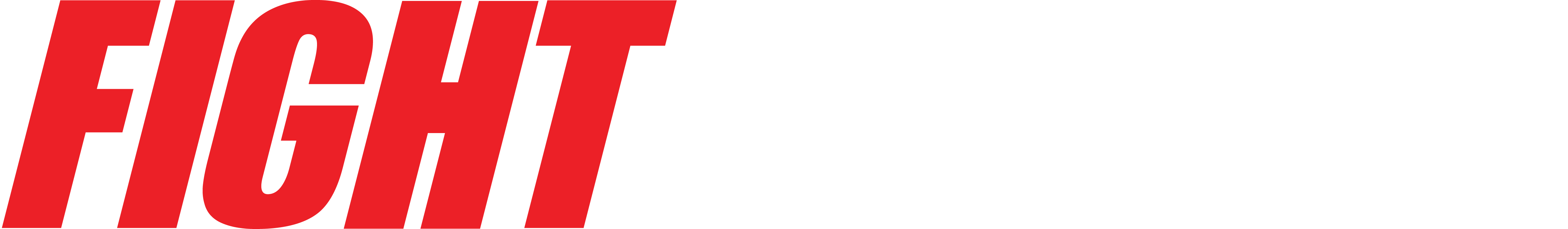 FightForum Logo